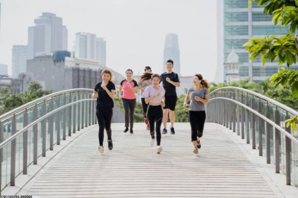 体育总会业务培训的要求与执行标准分析(图1)